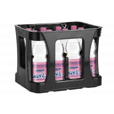 Regensteiner Mineralwasser Naturell