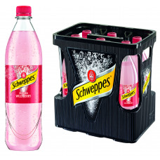 Schweppes Russian Wild Berry